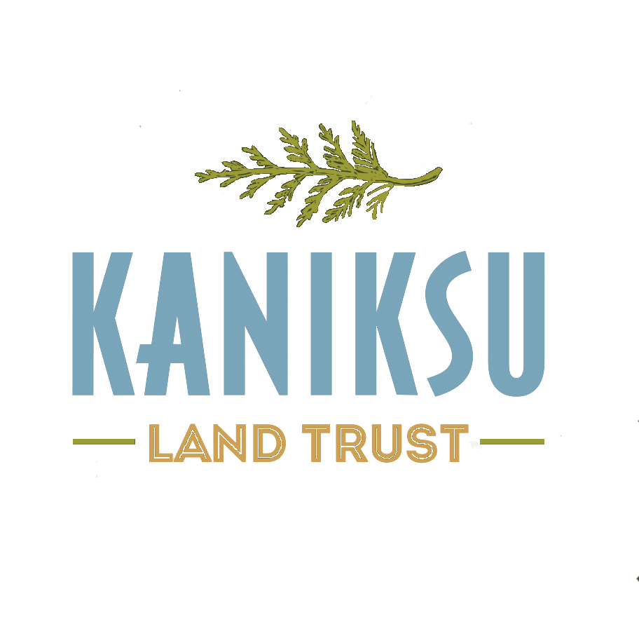 Blue+kaniksu+logo