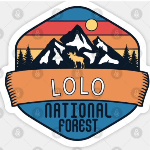 LNF